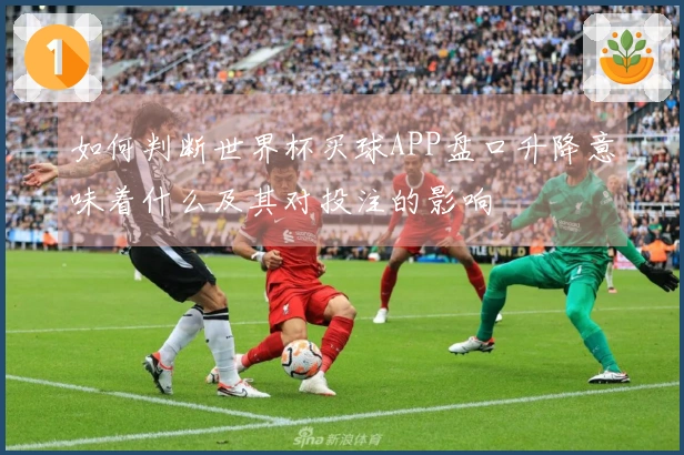 如何判断世界杯买球APP盘口升降意味着什么及其对投注的影响