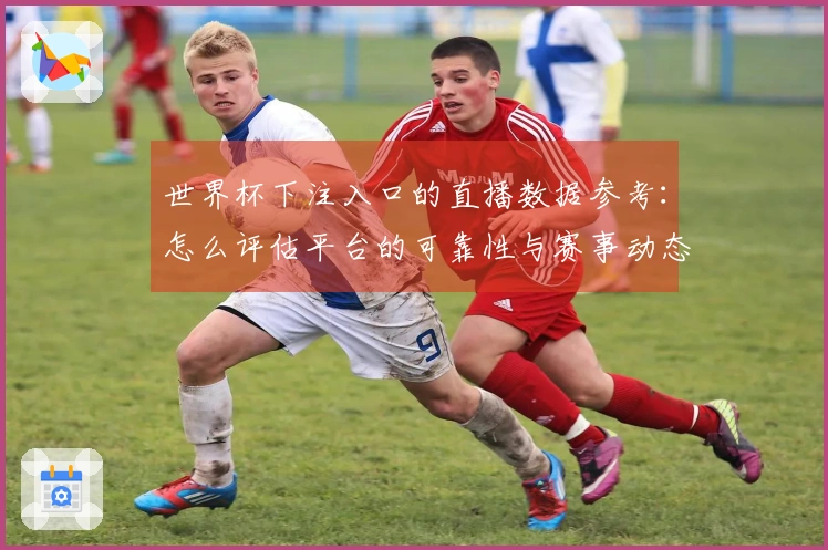 世界杯下注入口的直播数据参考：怎么评估平台的可靠性与赛事动态？