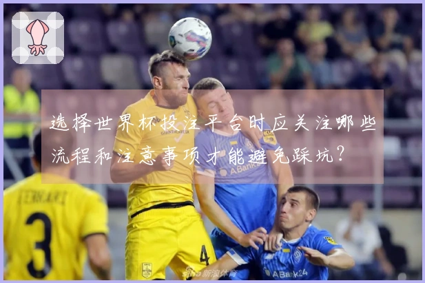 选择世界杯投注平台时应关注哪些流程和注意事项才能避免踩坑？