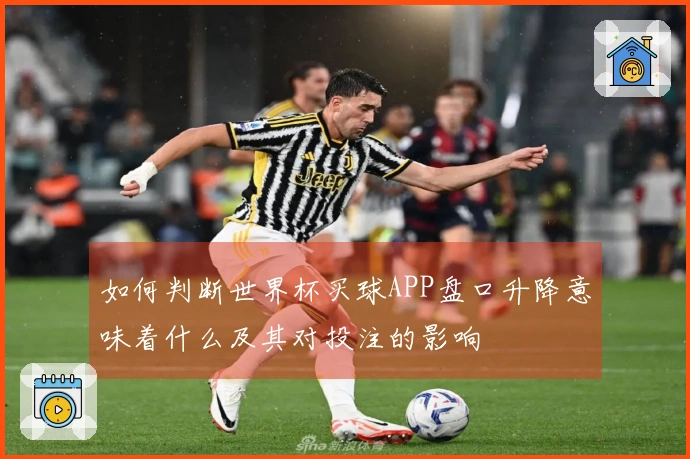 如何判断世界杯买球APP盘口升降意味着什么及其对投注的影响